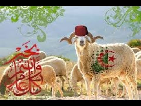 تهنئة بعيد الاضحى المبارك - اروع التهانى فى عيد الاضحى 16098 6