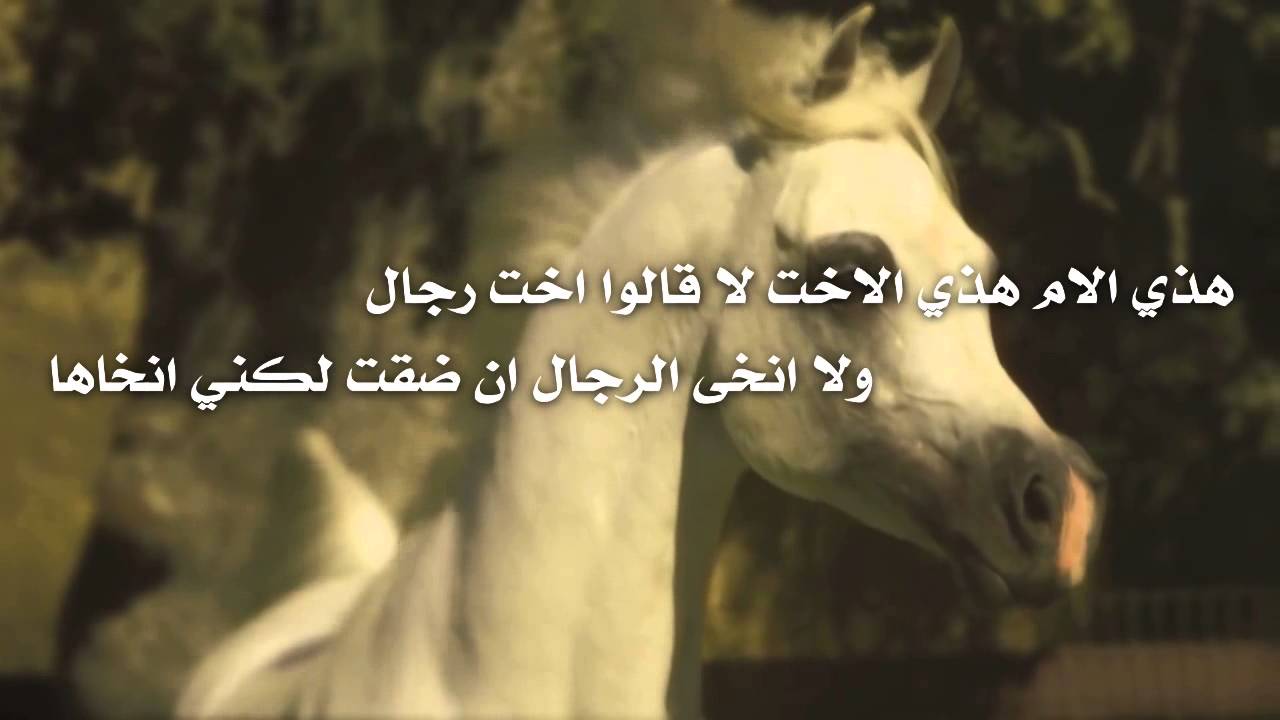 شعر عتاب عراقي