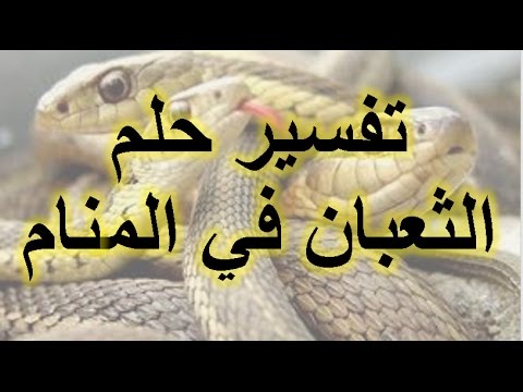 تفسير حلم الثعبان , تفسير حلم الثعابين فى المنام