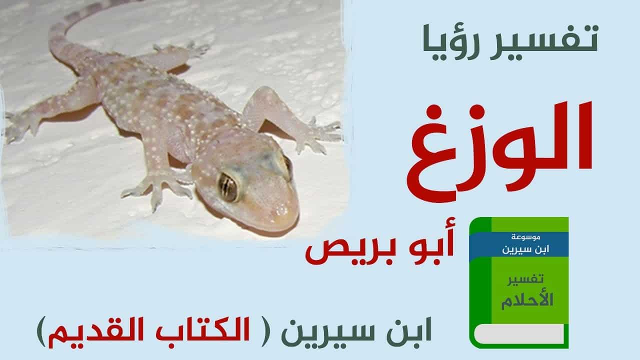 تفسير حلم الوزغ - ابو بريص في المنام وتفسير ابن سيرين 3656 3