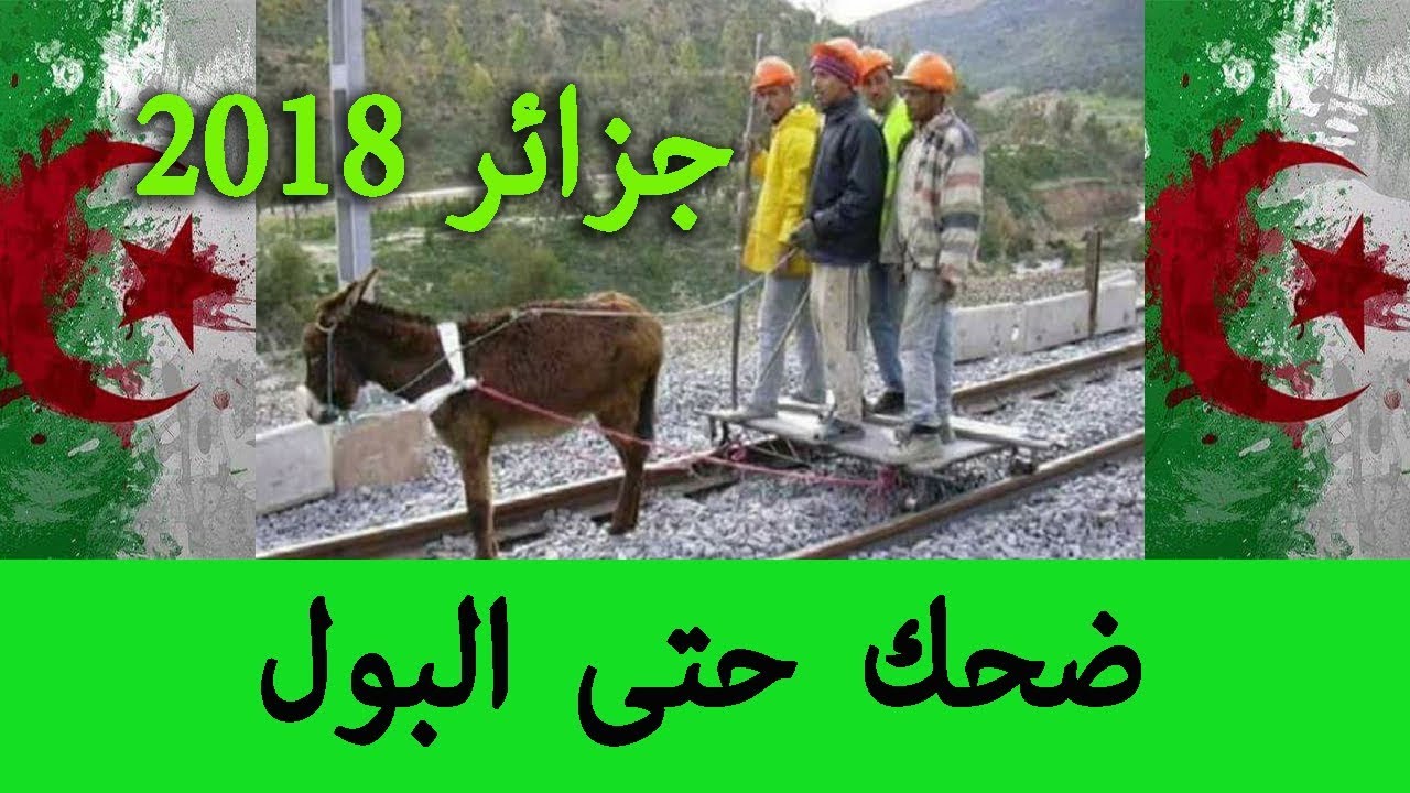 الضحك في الجزائر 3480 4