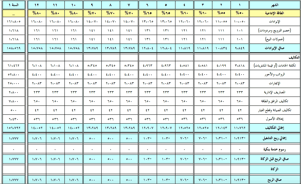 دراسة جدوى جاهزة 6430