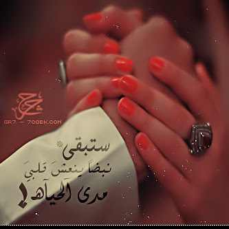 صور حلوه حب - اجمل صور عبارات الحب والغرام 4079 4