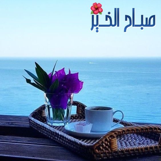 اجمل صباح - عبارات عن جمال الصباح 3745 10