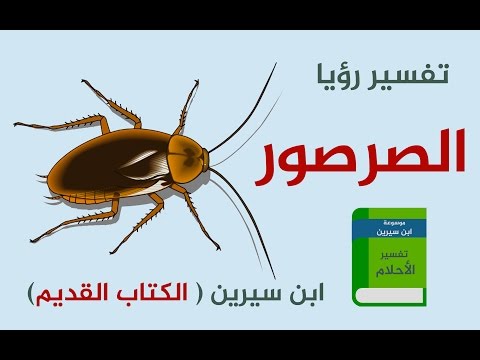 تفسير الاحلام رؤية الصراصير , تفسير الاحلام وما يحلم به الانسان