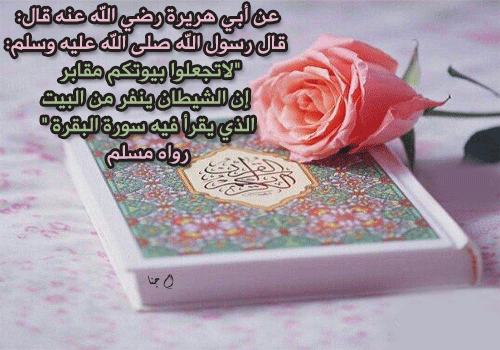 صور مولد النبي 2840