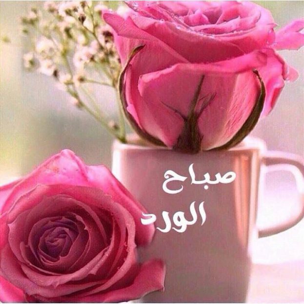 صور صباحالخير - اجمل صور صباح الخير 3552 5