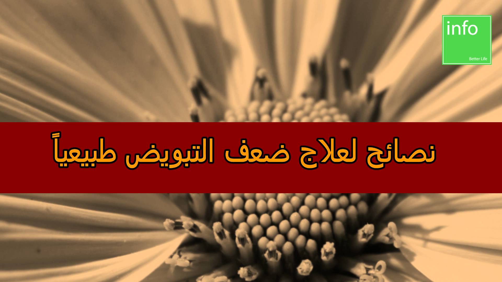 علاج ضعف المبايض - ما هي اعراض وعلاج ضعف المبايض 1614 1