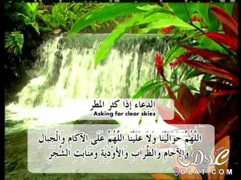 مساء الخير فيس - اجمل الصور والكلمات فى المساء 15956 9