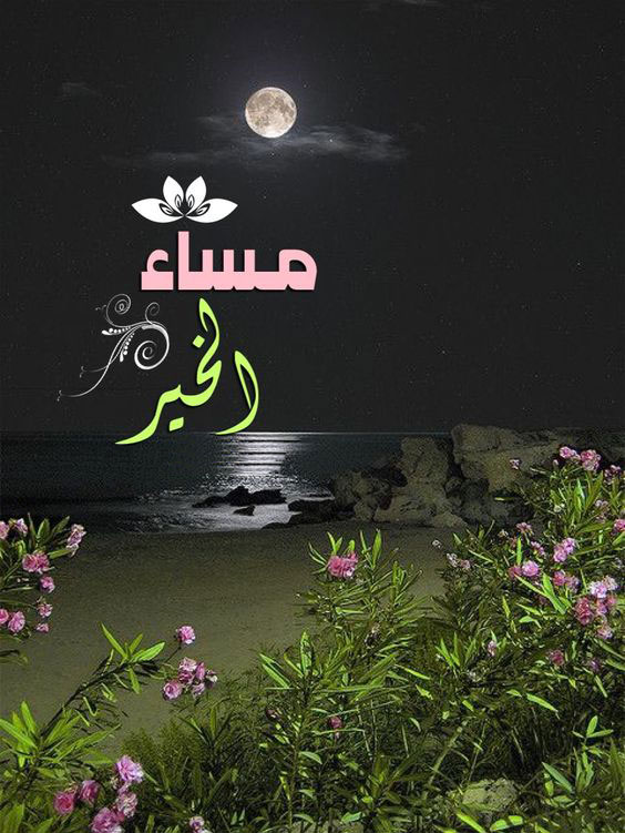 مساء الخير للغالين - اجمل مساء للغالين 4578 6