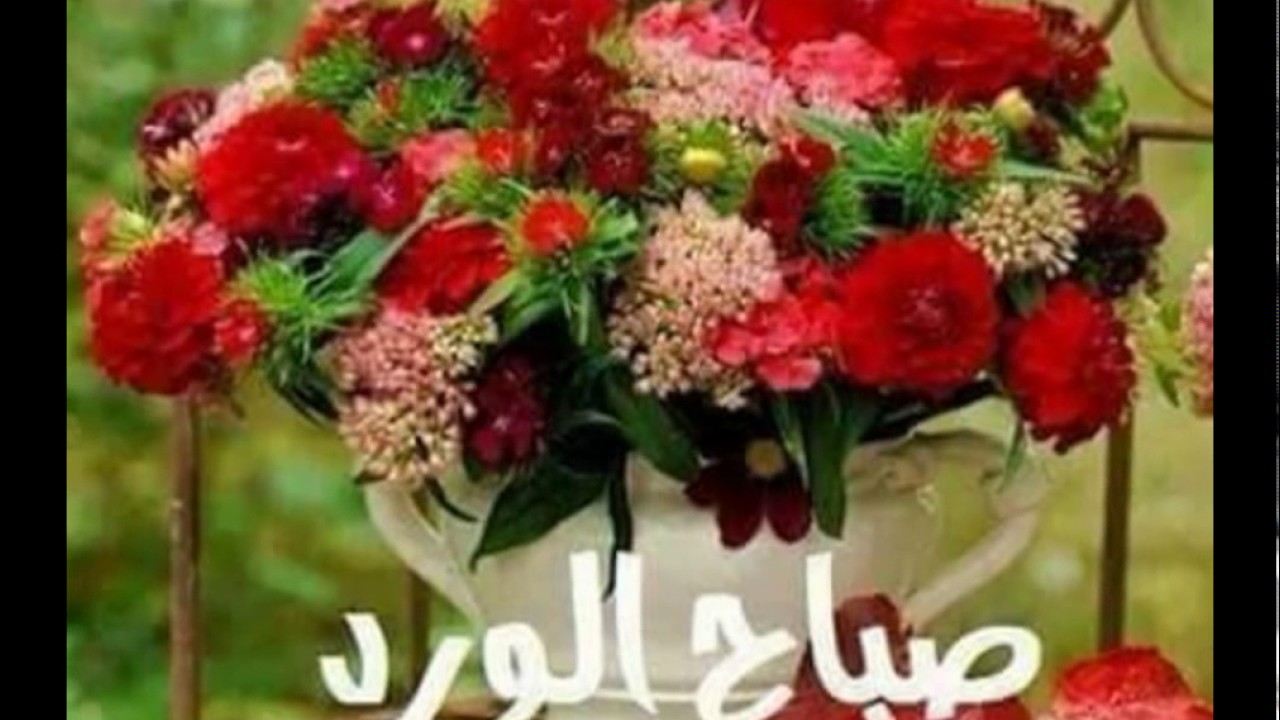 صور الصباح والمساء - اجمل صباح ومساء للجميع 3611 13