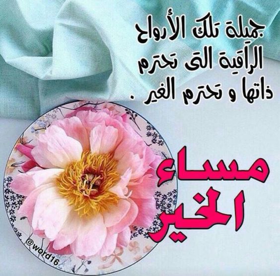 صور صباح ومساء الخير - اجمل الصور الصباحيه و المسائيه 4442 7