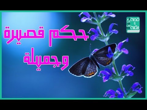 افضل الحكم القصيره - اروع الحكم والعبارات الجميلة الرقيقة 15996 3