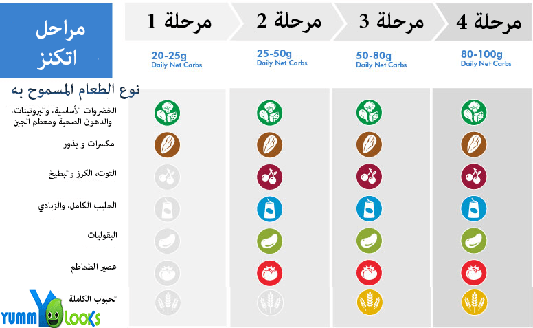 رجيم اتكنز , حمية اتكنز لانقاص الوزن بسرعه