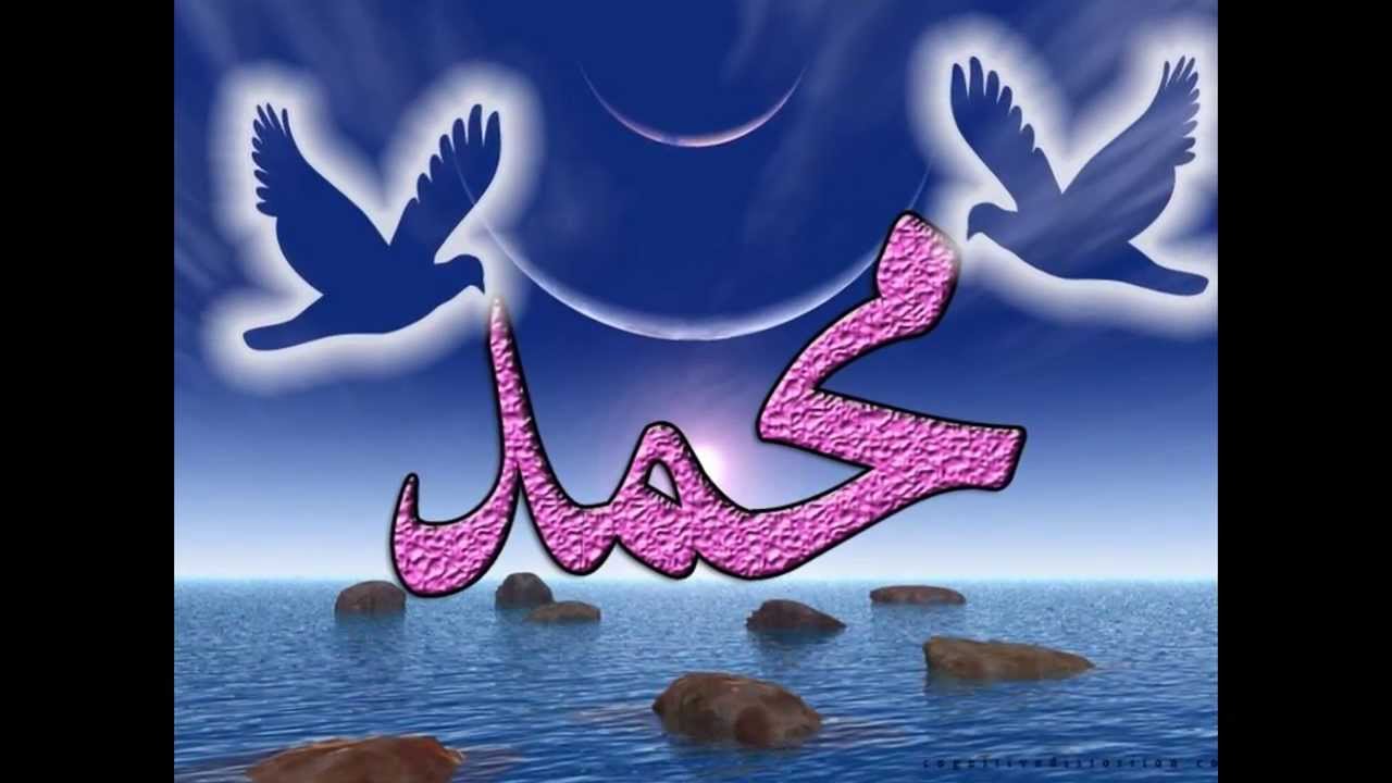 احسن صور في العالم 2956