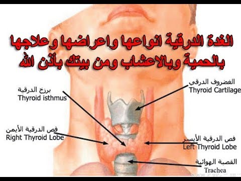 علاج الغدة الدرقية الخاملة - توفير العلاجات المناسبة للغدة الدراقية 15982 1