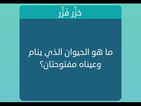 ما هو الحيوان الذي ينام وعيناه مفتوحة - نوم الحيوانات وتاثيرها على الحياة 14986 2