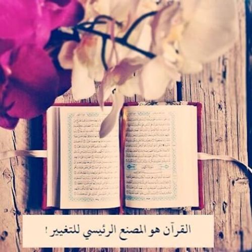 صور مولد النبي 2840 6