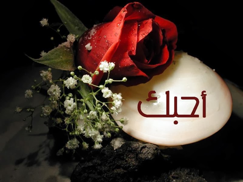 صور عاطفيه - ارق الصور العاطفيه 129 1