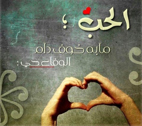 تنزيل حالات واتس اب - حالات واتس جديده 5570 3