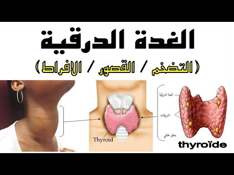 علاج الغدة الدرقية الخاملة - توفير العلاجات المناسبة للغدة الدراقية 15982