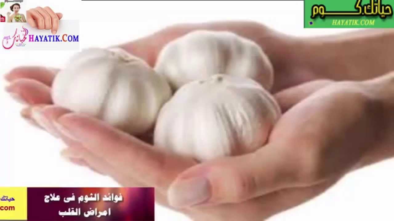 علاج مرض القلب - العلاج المناسب لمرض القلب بالصور 491 1