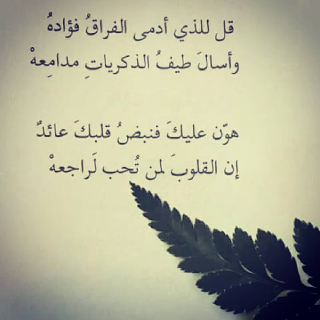 شعر غزل للحبيب , اشعار جميلة للحبيب