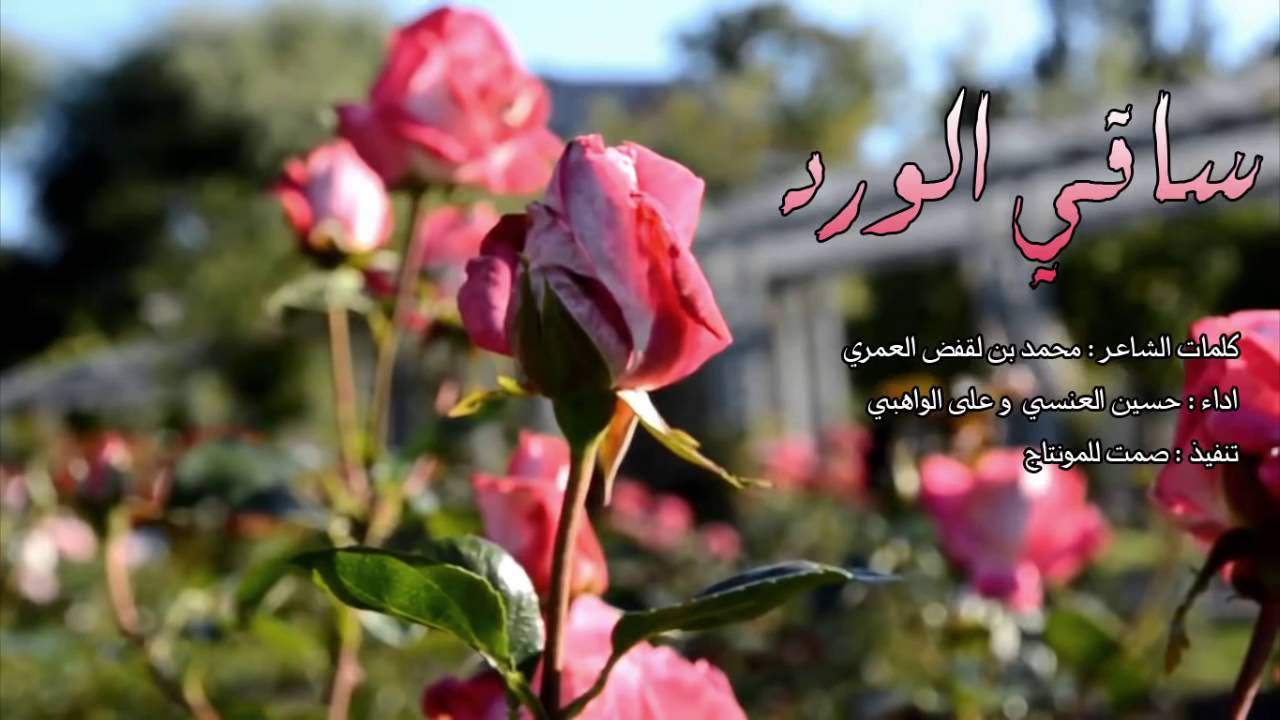 شعر عن الورد 6099 4