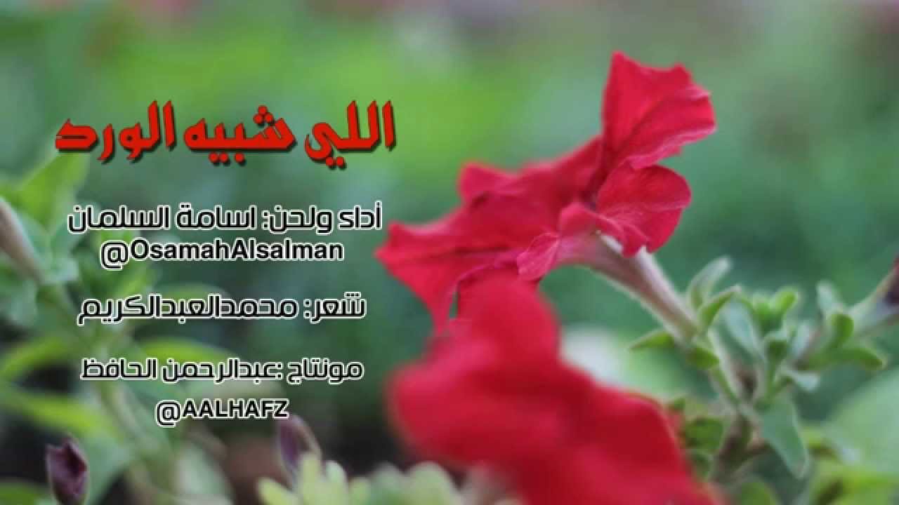 شعر عن الورد 6099 3