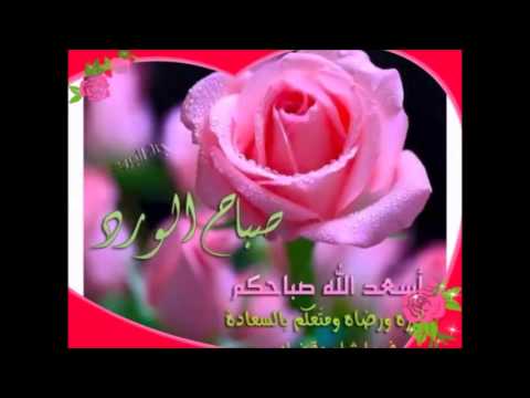 صباح الخير عليكم - اروع واجمل العبارات والكلمات فى كل صباح 16148 4