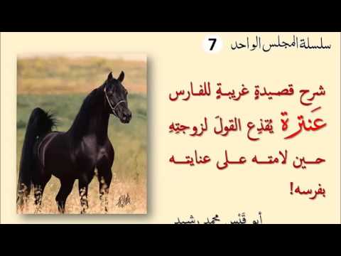 شعر عن الخيل قصير - اروع الاشعار عن الخيل 16069 2