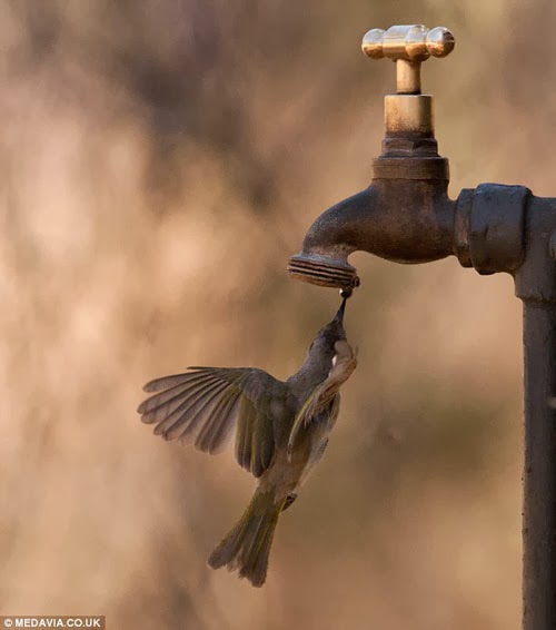 صور جميله ومعبره - اجمل الصور المعبره 1244 4