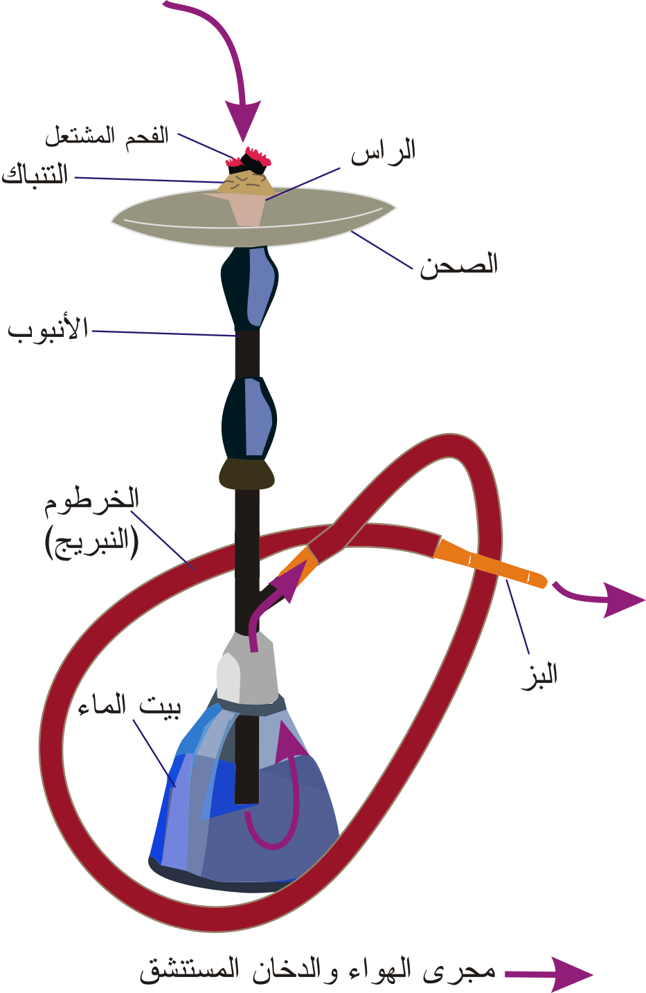 اضرار المعسل - الامراض التي يسببها المعسل وكيفيه التخلص منها 3333 1