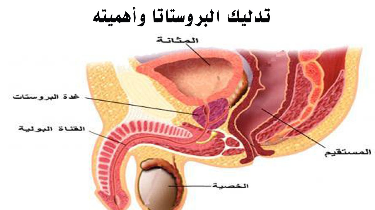 اعراض البروستاتا - تعرف على ابرز اعراض مرض البروستاتا 2031 2