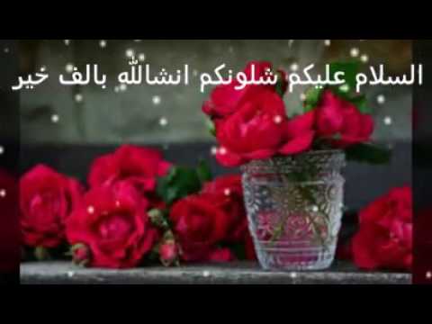 اشكال ورود جميلة - اروع واجمل الاشكال الجميلة للورود 16163 12