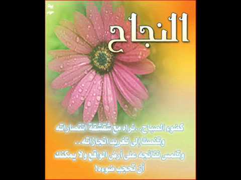 كلام عن النجاح في الدراسة - اجمل العبارات والكلمات فى النجاح والتفوق 15843 1