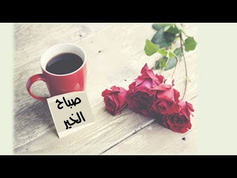 صور للصباح , اروع العبارات والكلمات فى كل صباح