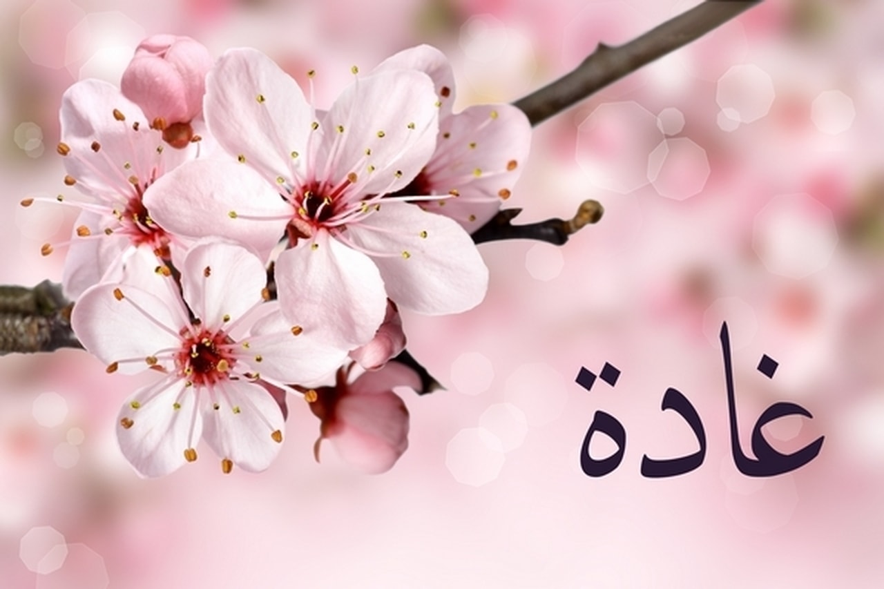 اجدد اسماء البنات - اسماء مواليد بنات جديده ومميزه 1862 1