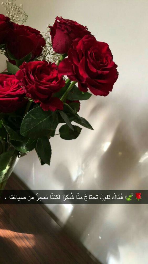 شكرا من القلب 6592 6