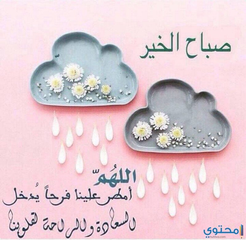 صور صباح الخير للحبيب -صباح الخير حبيبي 2640 5