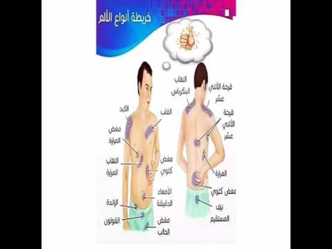 الم في الجانب الايمن من القفص الصدري - الاام الصدر والوقاية منها 16124 1