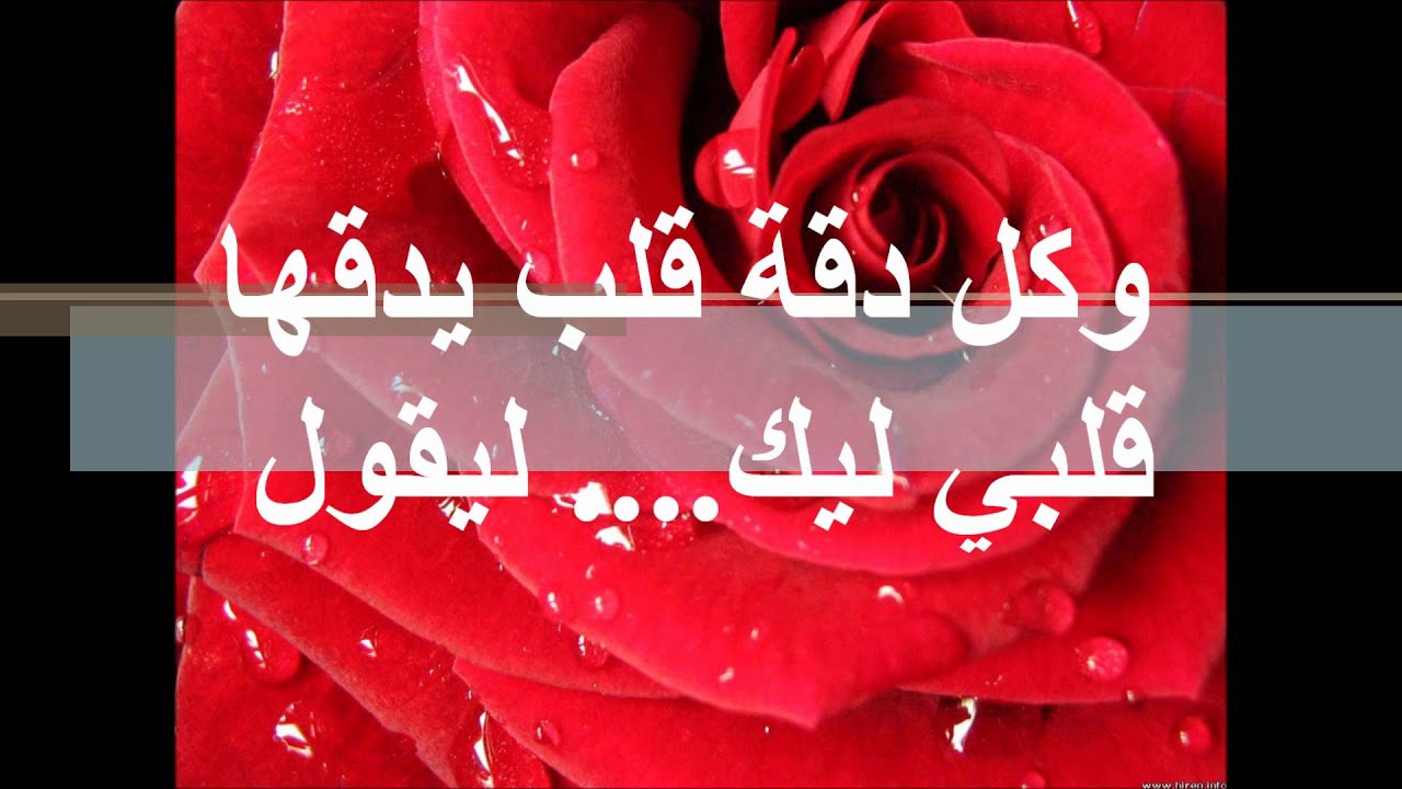 شعر في الحب 3642 3