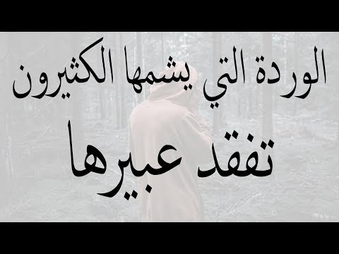 اقوال و حكم عن الحياة - اروع العبارات والكلمات الرقيقة عن الحياة 16000 11