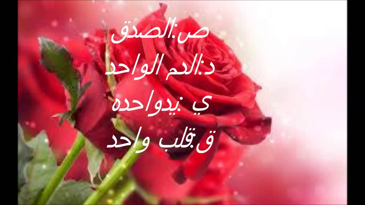 شعر عن الاخوة والصداقة - اجمل الاشعار عن الاخوه والصداقه 1558 7