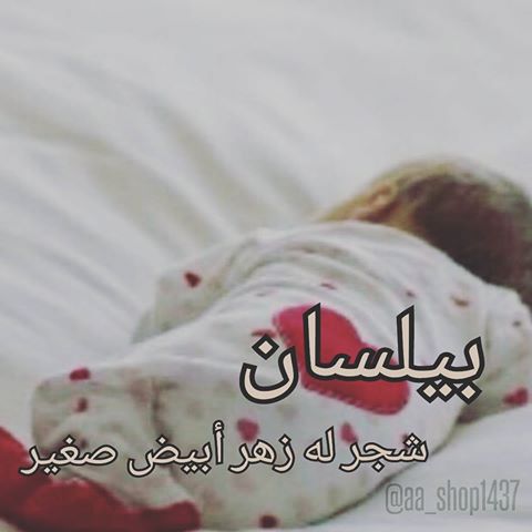 معنى اسم بيلسان - هل تعرف ما يعنيه اسم بيلسان 5817 1