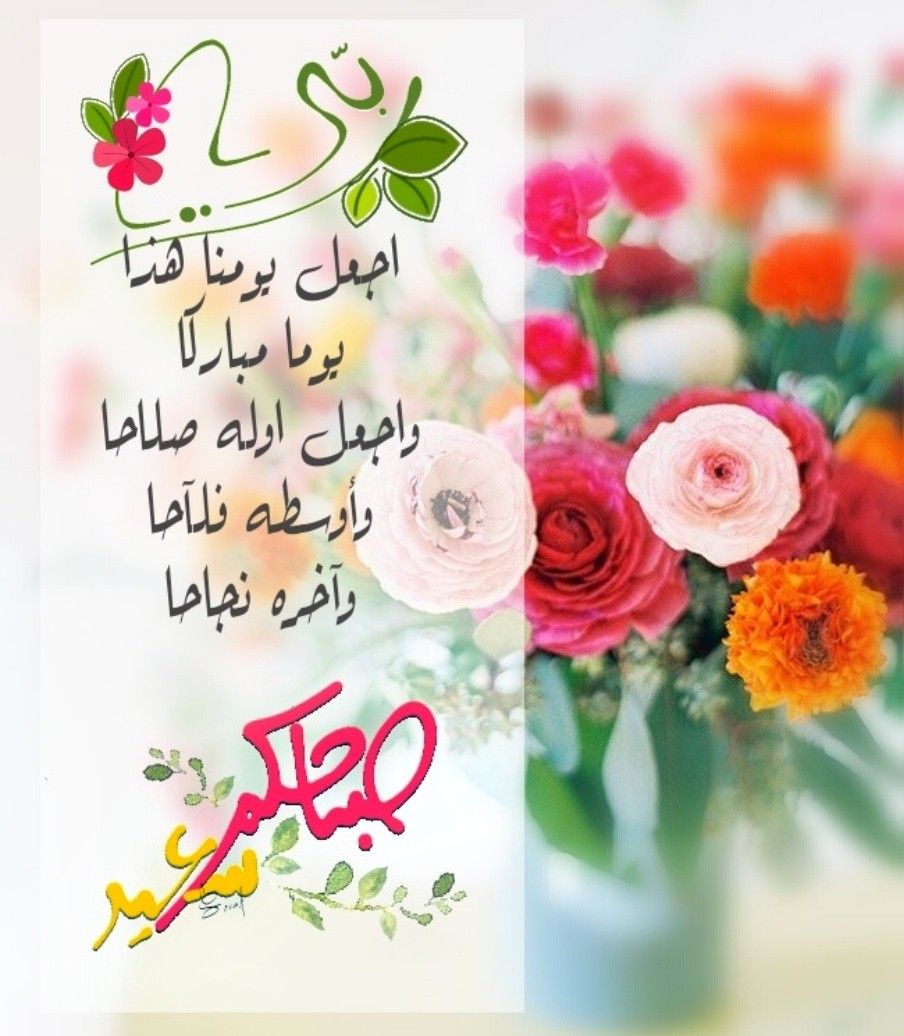 صباح الفل 6201 4