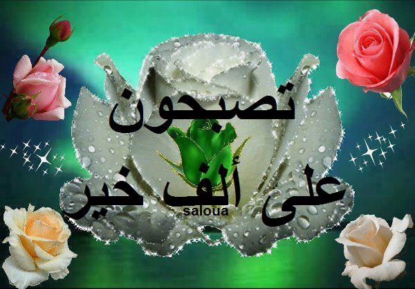 صور تصبحوا على خير - اجمل مساء مع هذه الصور 5831 3