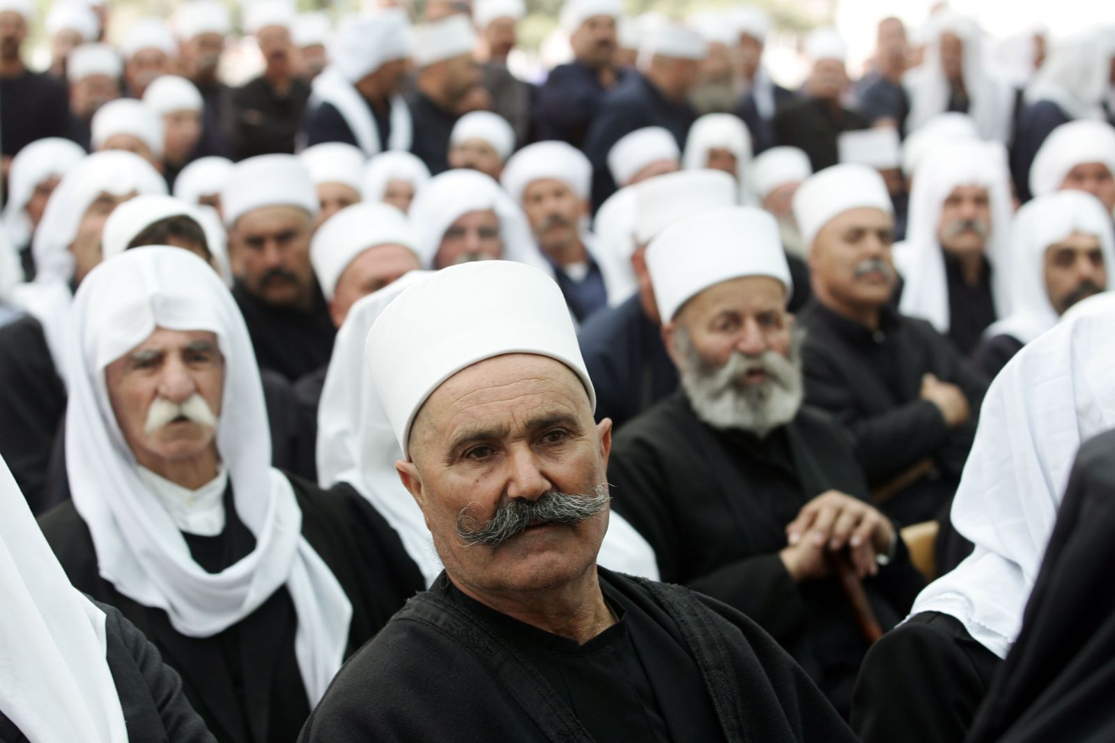 حيوان سجن نبي بأمر الله