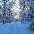 1674 12 صور فصل الشتاء - الشتاء اجمل فصول السنة ايمان