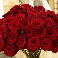 6311 11 زهور الحب - اجمل باقه زهور رومانسيه هنادي منير